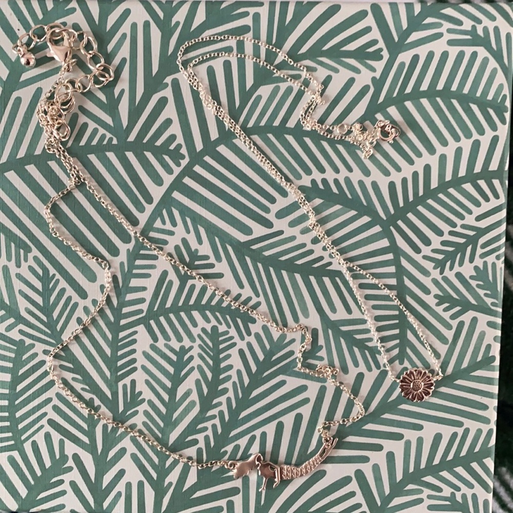 Lot of 2 sterling silver necklaces.